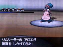 ポケモン ブラック ホワイト 攻略日記 ４ シッポウシティ ヤグルマの森にて どうぶつの森 と過ごす日々