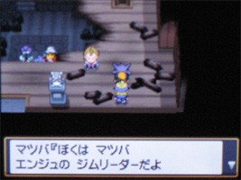 ポケモンスター ハートゴールド ソウルシルバー プレイ日記 9 どうぶつの森 と過ごす日々