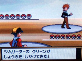 ポケモンスター ハートゴールド ソウルシルバー プレイ日記 カントー編 5 どうぶつの森 と過ごす日々