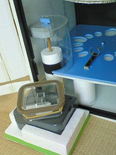 自作孵卵器2号改改改良型６ みんもん日記