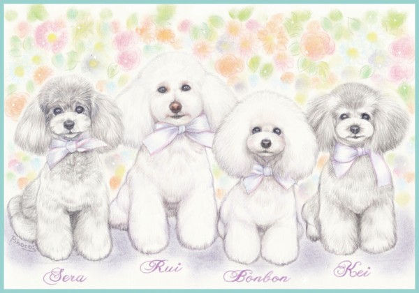 トイプーちゃん似顔絵イラスト(*^_^*)リアルタッチ : あとりえピノコ