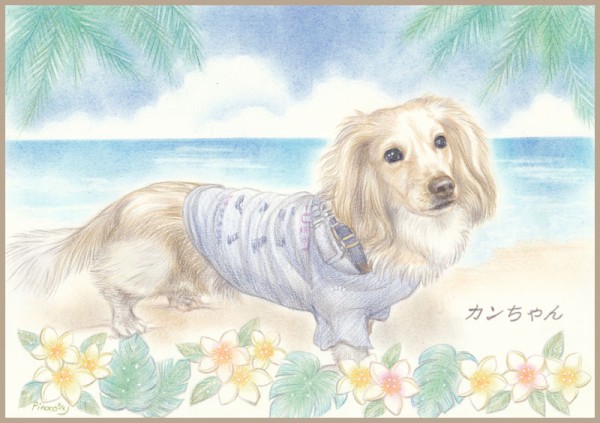 リアルタッチ似顔絵イラスト(*^^*)わんちゃんいろいろ : あと リアルタッチ似顔絵イラスト(*^^*)わんちゃんいろいろ : あと