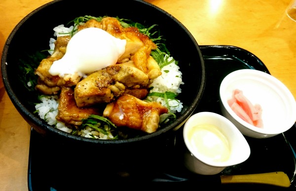 ドラえもんをリストラして株価が急降下していることで話題のココスで激辛麻婆豆腐を食べてきました ココス 海津南濃店 Coco S 岐阜県海津市南濃町駒野310 1 Airの食べログ日記 岐阜 尾張 名古屋を中心に