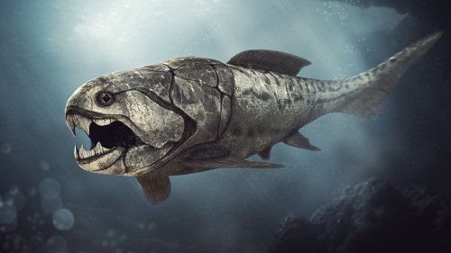 古代魚 3億年前の海を支配していた魚怖すぎて草 ダンクルオステウス えあ速