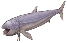 古代魚 3億年前の海を支配していた魚怖すぎて草 ダンクルオステウス えあ速