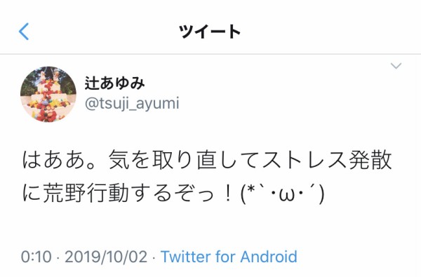 これは酷い グラブル声優の辻あゆみさん 失礼なグラブル民にキレる 映ってもいない見た目をディスるのはやめてください 民度 えあ速