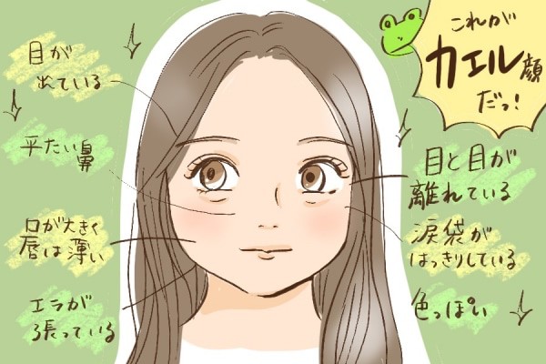 画像 カエル顔 かわいい 女の子らしさ 親しみやすい こいつがたぬき顔に負けた理由 えあ速