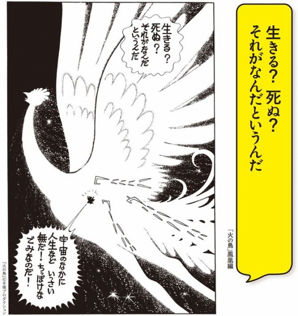 悲報 火の鳥 ざぁこ ざぁこ ざこ人類 えあ速