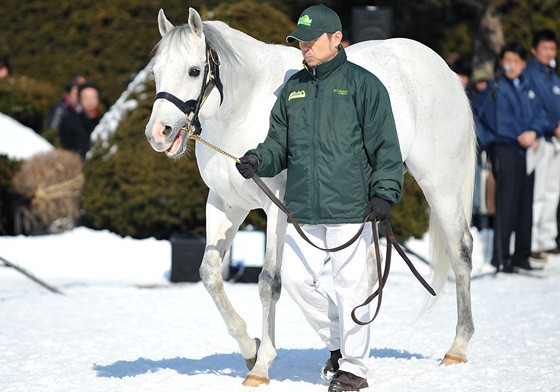 競走馬 えっ僕の名前決まったんですか なんだろうな えあ速