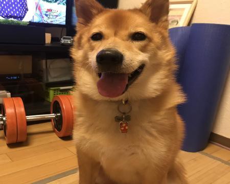 今日の園児さん紹介 犬の幼稚園 アットホームblog