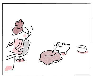 540 建国記念の日 ねりきりおはぎさくらもち