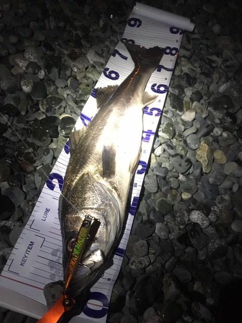 コノシロパターン 西湘サーフ ランカーシーバス攻略 Byコバ軒 鱸塾