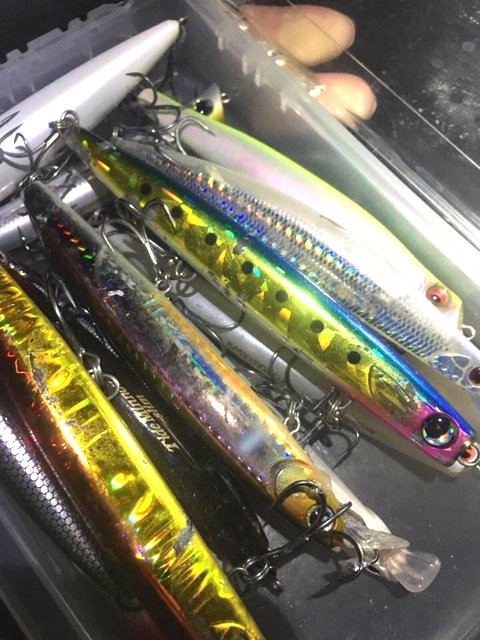 コノシロパターン 西湘サーフ ランカーシーバス攻略 Byコバ軒 鱸塾