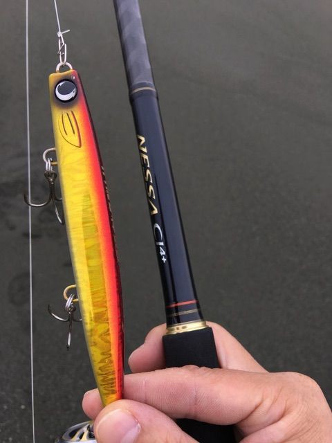 シマノ ネッサci4+ S1102MMH