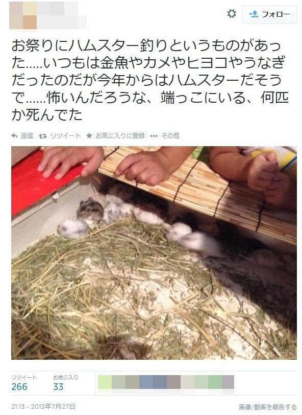 動物虐待 ハムスター釣りで 死んでた 死体をゴミ箱に捨てた と目撃続出 なぜか調査打ち切り ニュースあつめちゃお