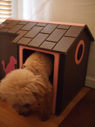キッチンの木のものと犬小屋 Aula Powered By ライブドアブログ キッチンの木のものと犬小屋 Aula Powered By ライブドアブログ