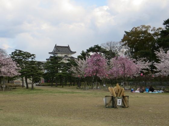 玉藻公園 サクラ 花とレトロ