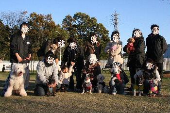 埼玉ペットショップの同窓会に出席しました 犬 フレンチブルのイギー