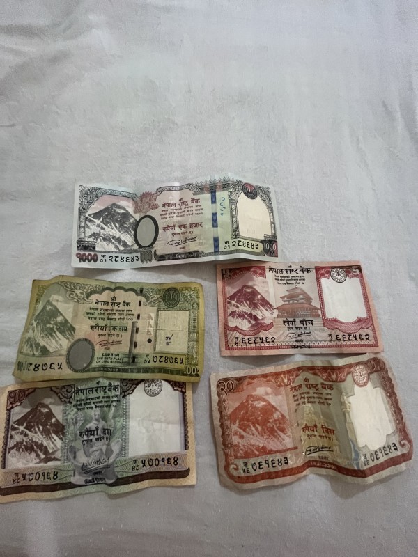 ネパール のお金 : 世界一周アヤレミ旅