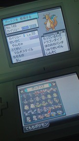 育成 カイリュー マルチスケイル あかしょとほっこりぽけもんしようず