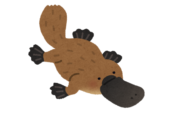 悲報 カモノハシさん また意味不明な特徴が見つかる 学者のみなさんノイローゼへ Az通信