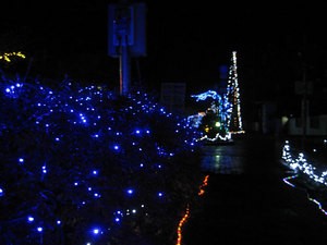 須崎イルミネーションロード 須崎市 川端シンボルロード 高知 須崎は片田舎 のほほん主婦azumiの雑記帳ブログ