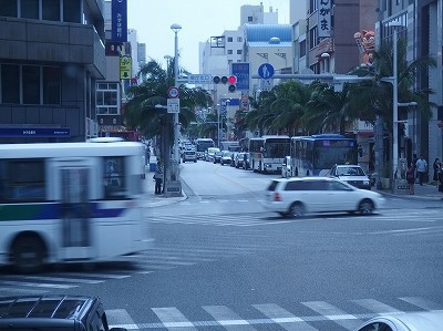 17年5月11日沖縄中央観光 やんばる急行バス101便 那覇空港国内線ターミナル 記念公園前 バスの中の人の乗りもの記録