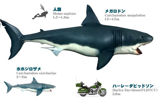 海 深海にまつわる超怖い画像や話 備忘録b2s 海 深海にまつわる超怖い画像や話 備忘録b2s