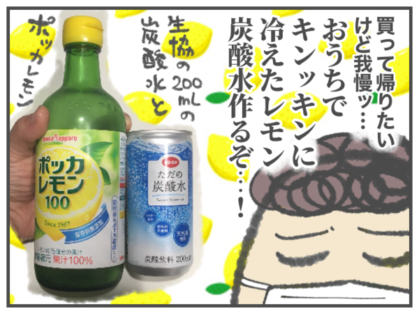 レモン炭酸水が飲みたいッ！！家で作る : ババア、育児をする Powered by ライブドアブログ