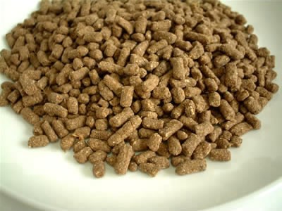 朗報 ワイのイッヌ カリカリ以外を食べさせまくったのに16年も生きる まとめ犬 朗報 ワイのイッヌ カリカリ以外を食べさせまくったのに16年も生きる まとめ犬