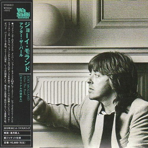 バッドフィンガー/エモーショナリー・サーガ LD バッドフィンガー エモーショナリー・サーガ (LD) 展示中 in