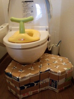 踏み台完成ではじめての一人うんち ９球入魂