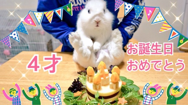 風船うさぎモコちゃん4才誕生日会 : 風船モコちゃんねる