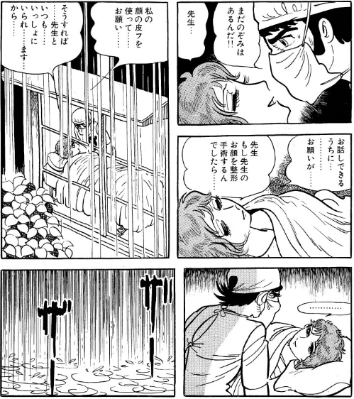 あなたの美しい顔にメスを入れたくはなかったのですよ マンガメ