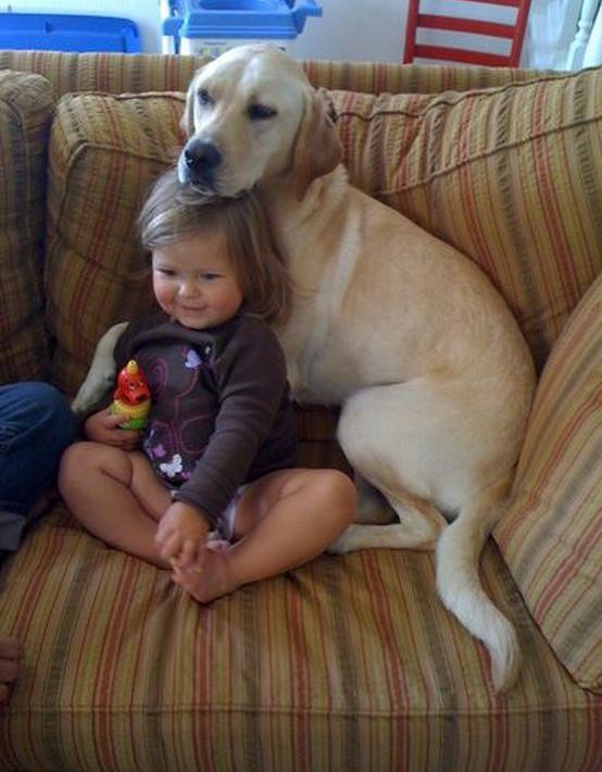 ｄｖｄ クリスマス キャロル だれのものでもないチェレ 映画 哭声 バナナ ヒロシの はーい バナナです