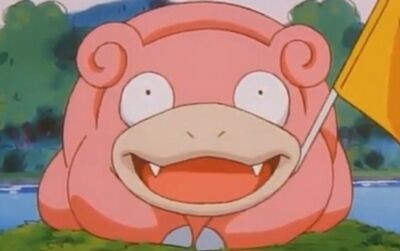 ポケモン ヤドンの等身大ぬいぐるみ デカすぎるｗｗｗｗｗｗｗ おしキャラっ 今流行りのアニメ やゲームのキャラクターのオモシロ情報をまとめるサイトです