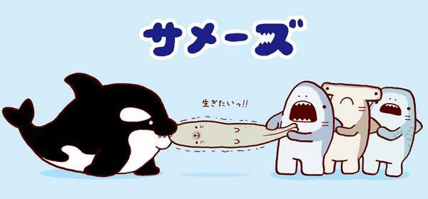 ネコザメがどう見ても 海洋生物の日常描く サメーズ のカプセルトイが発売 ゆるかわな5種類が登場 猫な件 おしキャラっ 今流行りのアニメやゲームのキャラクターのオモシロ情報をまとめるサイトです