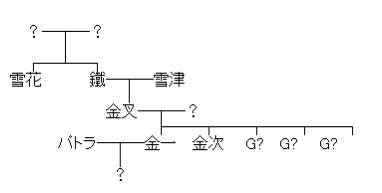 緋弾のアリア ここ三世代 主人公の家系図 遠山家 がぐっちゃぐちゃｗｗｗｗｗｗｗｗｗｗｗｗ 緋アリ速報 緋弾のアリアまとめ