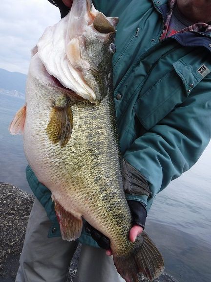 オカッパリのバス用ロッドでヘビキャロ対応のスピニング 京都山科の釣具屋バスフィールド