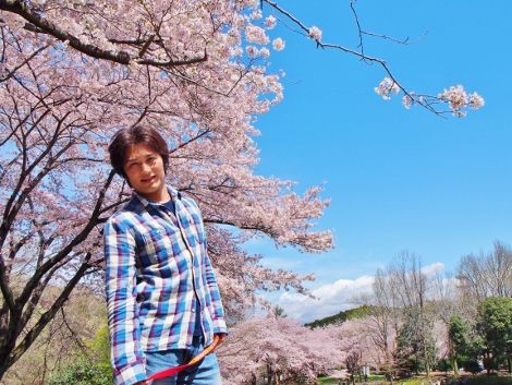 ぶらり車中泊の旅 岩本山公園桜まつり の巻 ばってんバランス日記