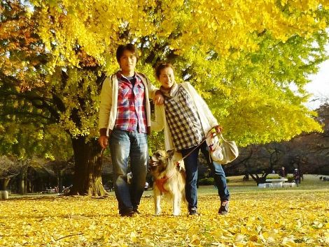 光が丘公園の紅葉 の巻 ばってんバランス日記