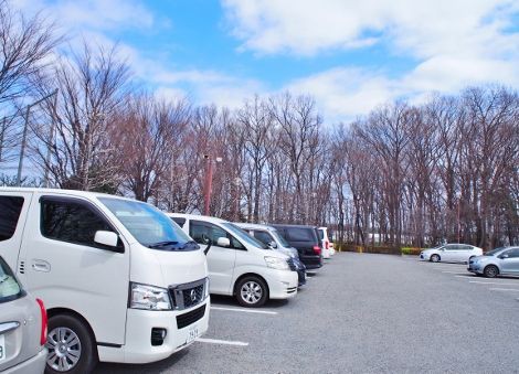 新座市総合運動公園でお散歩 の巻 ばってんバランス日記