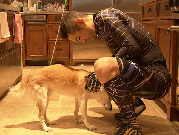 イチローの愛犬 一弓の現在の姿 プロ野球おっかけ隊