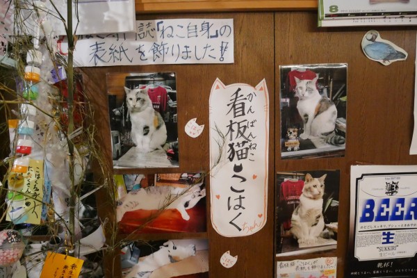 浦和】銭湯鹿島湯 看板猫のこはくちゃんに会えるのはいつ！？ : 浦和裏 