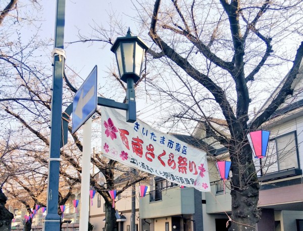 花と緑の散歩道を徹底解説 春は桜 6月は紫陽花 秋は紅葉 ランニングコースとしてもアリ 別所沼公園と武蔵浦和駅の遊歩道 浦和 裏日記 さいたま市の地域ブログ