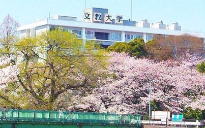 文教大学 資料請求 願書請求 学校案内 スタディサプリ 進路