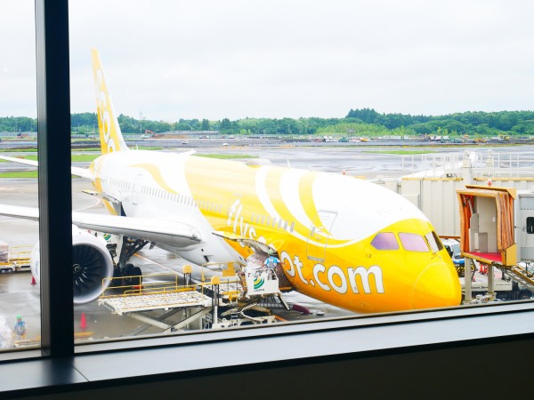 Lccのスクート Scoot に乗ってみた 機体はボーイング787で座席は広い 飲食物は持ち込み禁止 マルタナビ 社会人からのマルタ留学ブログ