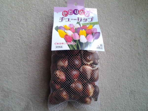 20171019 サカタのタネ株主優待案内選択チューリップ球根到着 : Dance