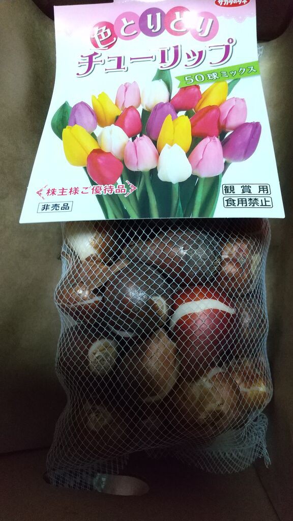 2022年10月18日 サカタのタネ株主優待チューリップ球根ミックス