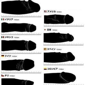 男性器の大きさ 世界ランキング Beauty News